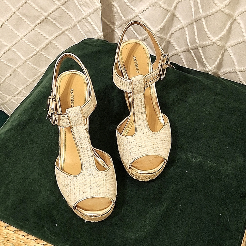 Antonio Melani Wedge